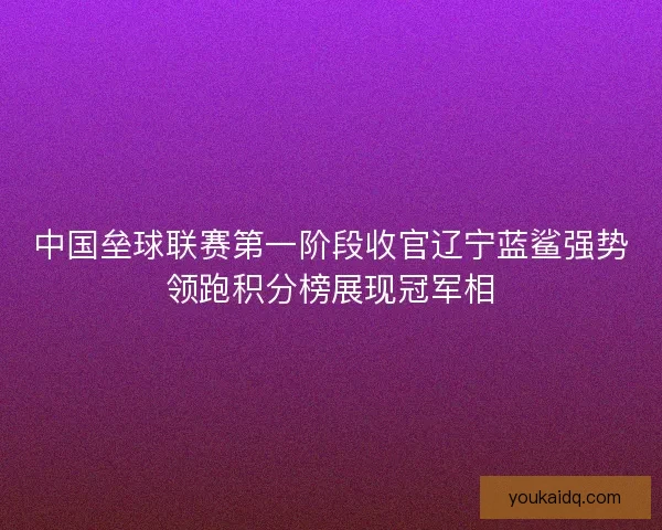中国垒球联赛第一阶段收官辽宁蓝鲨强势领跑积分榜展现冠军相